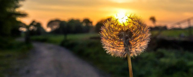 唯美古风名字精选(个性古风名字)