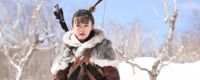 菜瓜演员的简介(菜瓜是哪个电视剧人物)