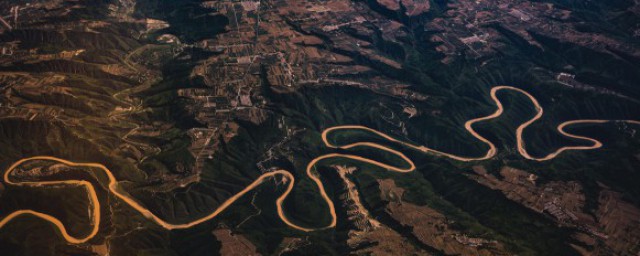 盘虬卧龙的成语解释(盘虬卧龙的近义词)