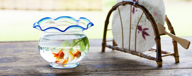 描写金鱼的优美句子(描写金鱼的优美句子一年级)