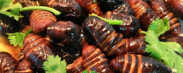 蚕蛹怎么吃(蚕蛹怎么吃才好吃)