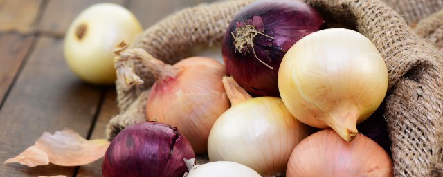 阳台种植洋葱的方法(阳台种洋葱的新方法)