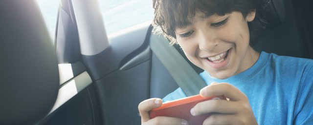 辛巴喜欢吃什么(辛巴吃的什么药)