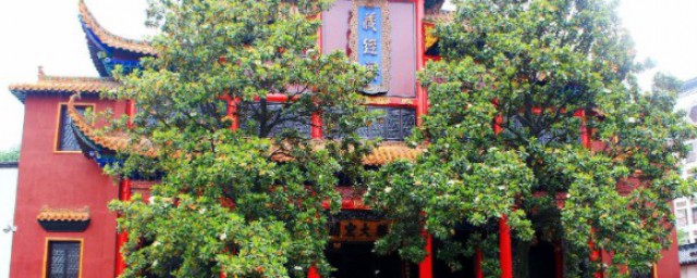 黄鹤楼原文理解(黄鹤楼原文及注释)