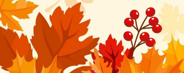 立秋应该吃什么比较好(立秋吃什么最好)