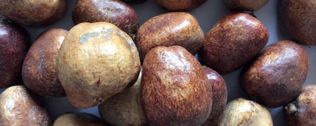 菩提果的功效(菩提果的功效与疗效)