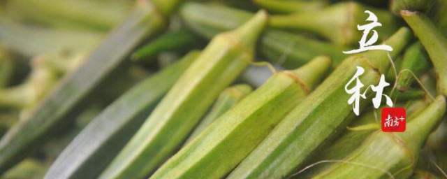 立秋季节怎么养生(立秋如何养生保健)