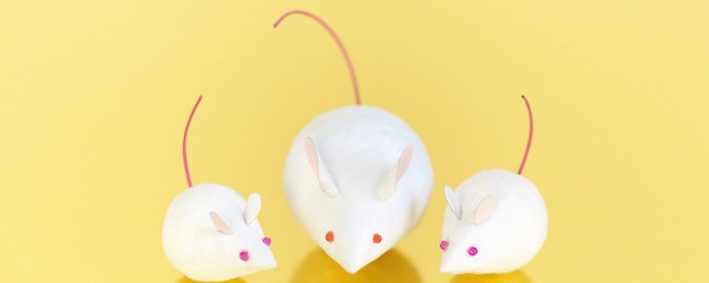 狮子和老鼠这个故事告诉我们什么道理(狮子和老鼠这个故事告诉我们一个什么道理)