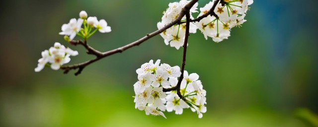 十二个月如何分季节(十二个月分别是什么季节)