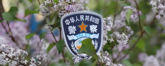 梦见被警察抓的意思解析(梦见被警察抓是怎么回事)