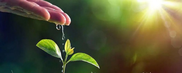 植树节的来历是什么(植树节的来历是什么?用几句话写一写20字的 看图写话)