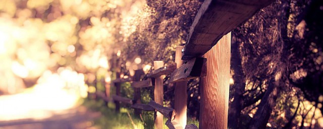 邂逅的唯美短句有哪些(最美的邂逅的句子)