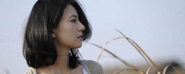 搜索电影的简介(搜索 电影 百科)