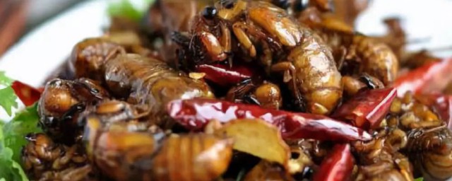 知了猴如何做(知了猴干什么用)