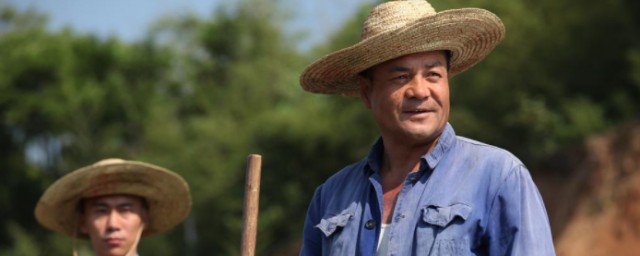 吴仁宝电影简介(电影吴仁保)