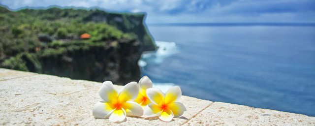 金风送爽描写一句话(金风送爽比喻什么)