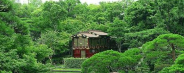 植树有哪些好处(植树有哪些好处请写出两条)