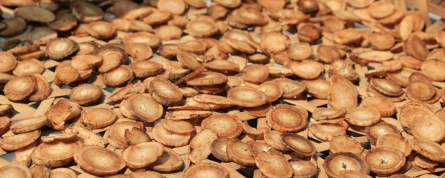 牛蒡根泡茶配方是什么(牛蒡根茶的功效与作用泡水喝的功效)