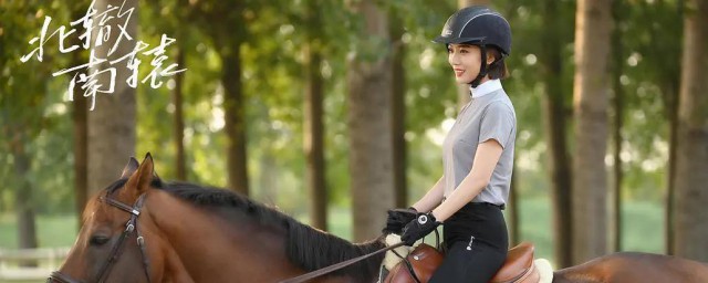 北辙南辕电视剧在什么地方拍(北辙南辕电视剧剧照)