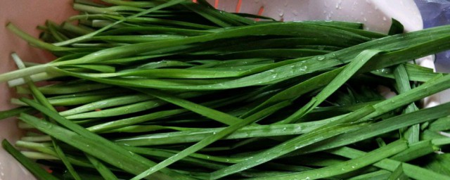 哺乳期吃韭菜会不会导致宝宝拉肚子(哺乳妈妈吃韭菜影响宝宝拉屎)