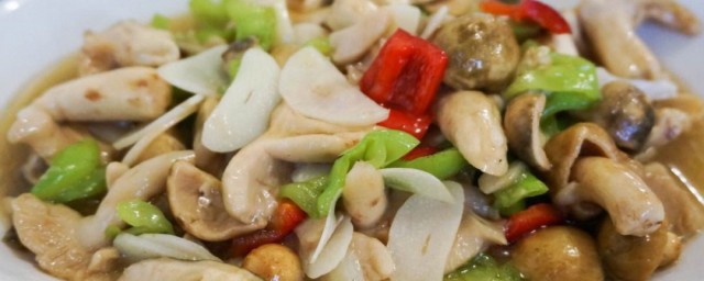 青头菌的制作方法(青头菌烹饪方法)