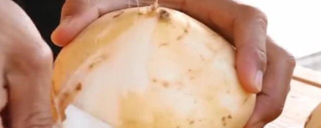 雪莲果和凉薯一不一样(雪莲果和凉薯是一个东西吗)