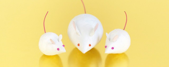 花露水可不可以驱老鼠(喷花露水可以驱赶老鼠吗)