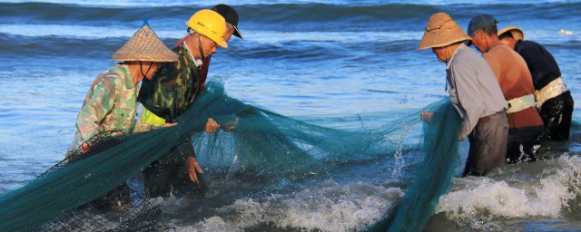 草鱼开口吃食的时间(春季草鱼什么时候开口吃食)