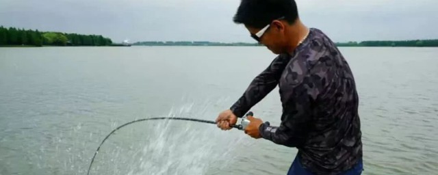 路亚如何钓浮钓底(路亚钓浮水用什么饵)