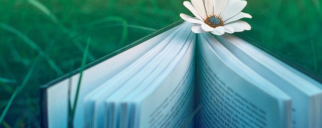 aab词语有什么(aab的词语是哪些)