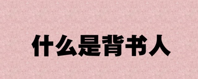 什么是背书人(什么是背书人编号)