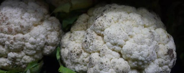 花菜有黑点还可不可以吃(花菜上面有黑点可以吃吗)