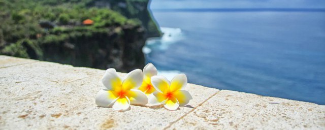 百泉村四章描写的是什么(百泉村三章)