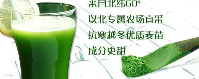 大麦若叶青汁可不可以加蜂蜜一起喝(大麦若叶青汁加什么好喝)