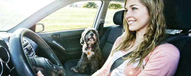 什么叫汽车的整备质量和总质量(汽车整备质量和总质量什么意思)