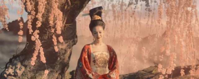 杨贵妃简单介绍(杨贵妃个人简介)