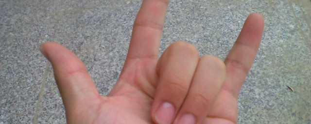 食指和小指坚起来是啥意思(坚食指和小拇指是什么意思啊)