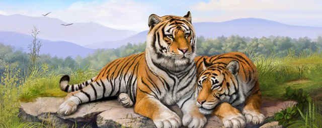 两面三刀指哪个动物(十二生肖中两面三刀的动物是哪个)