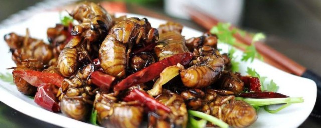 教你知了猴做法(知了猴怎么做好吃啊)