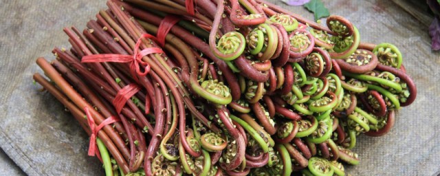 蕨菜多吃好吗(蕨菜吃多了有什么好处)