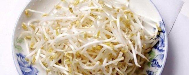 食用豆芽的禁忌(豆芽啥样不能吃)