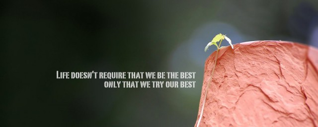 励志的英文短句加翻译(英语励志短句加中文翻译)