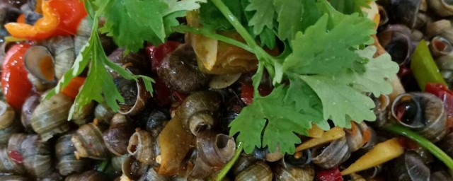 大田螺怎么做好吃(大田螺怎么做好吃入味)