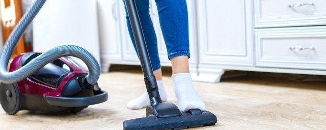 蚤蝇的消灭方法(蚤蝇幼虫怎么消灭)