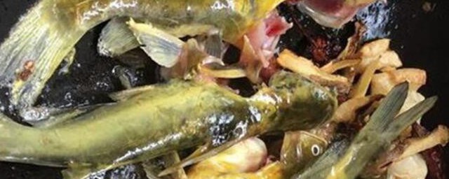 哪些人不能吃黄辣丁(黄辣丁什么人禁吃)