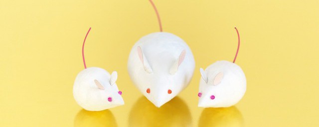 老鼠不怕花露水的味道对吗