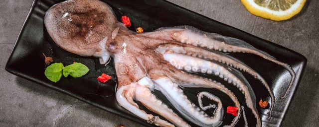 八爪鱼什么时候有籽(八爪鱼的籽是什么样的)