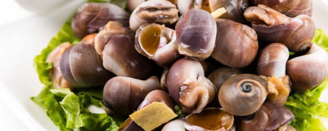 香螺煮多久能熟(香螺需要煮多长时间能熟)