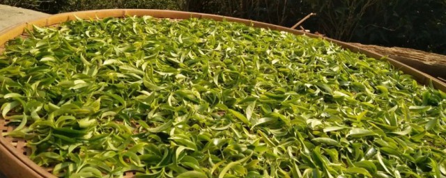 返青释义(返青是什么)