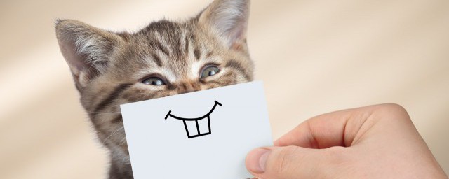 爆笑大全三分钟笑话(笑话一分钟爆笑)